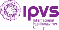 Home ipvs logo